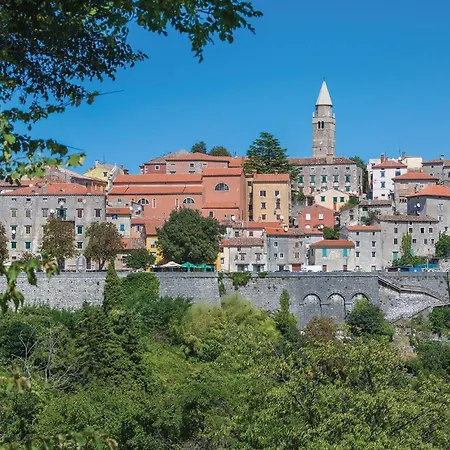 Lovely In Reburici, Trget Ubasico